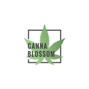 Canna Blossom